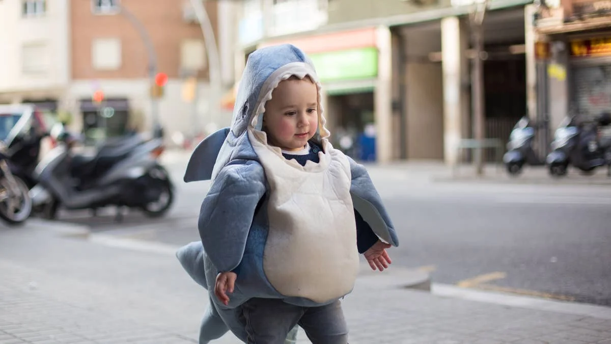 Scientists Just Discovered a New Shark...That Can Walk!