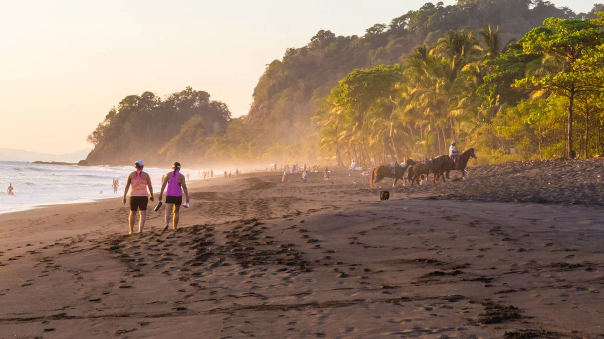 A Surfer's Heartfelt Gesture Inspires Coastal Reforestation in Costa Rica